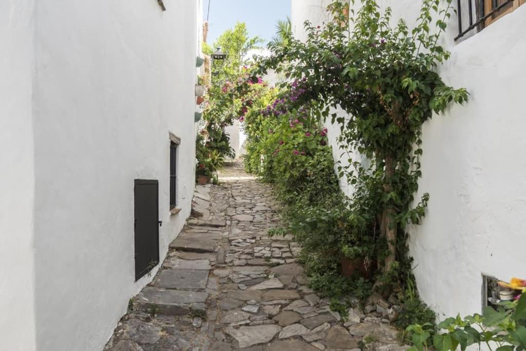 Tranquilo Y Comodo Apartamento En Vejer De La Frontera Exterior foto